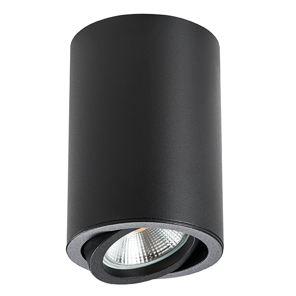 Светильник точечный накладной Rullo Lightstar 214407