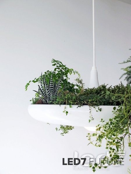 Светильник подвесной LED7 Future Lighting Object Interface Babylon plantable