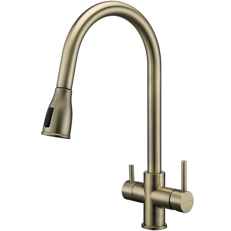 Смеситель для кухни Lange, бронза, La214212-BR, Paulmark