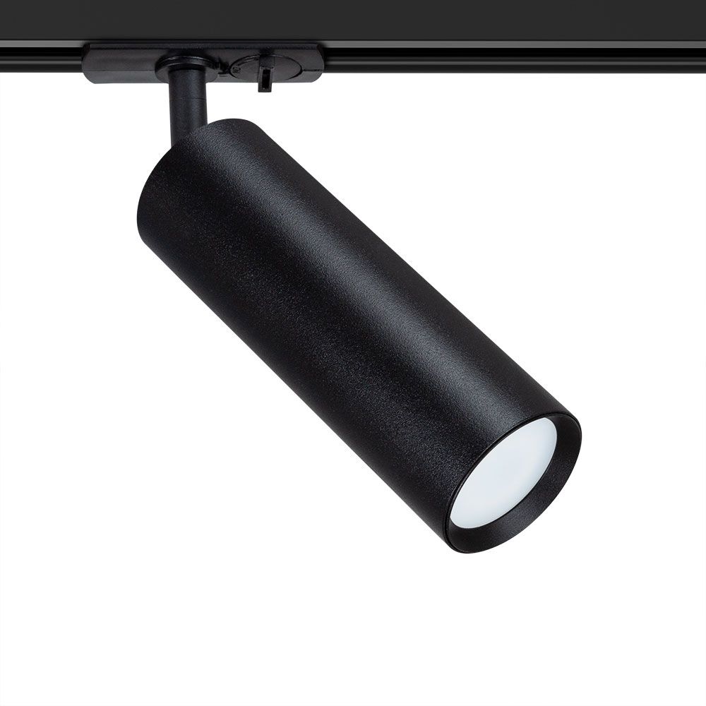 Светильник потолочный Arte Lamp BEID A1515PL-1BK