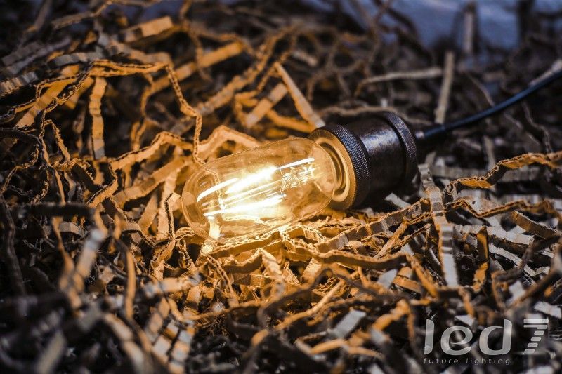 Светодиодная ретро-лампа LED7 Future Lighting Loft Industry Retro LED Small T45 2W