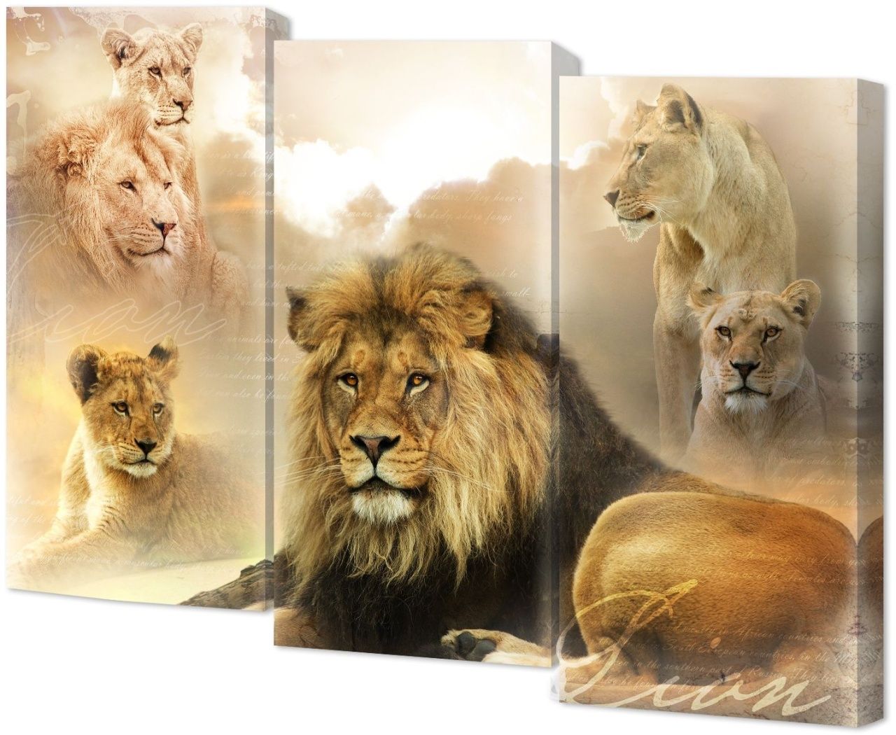 Трехмодуль Toplight TL-M3079