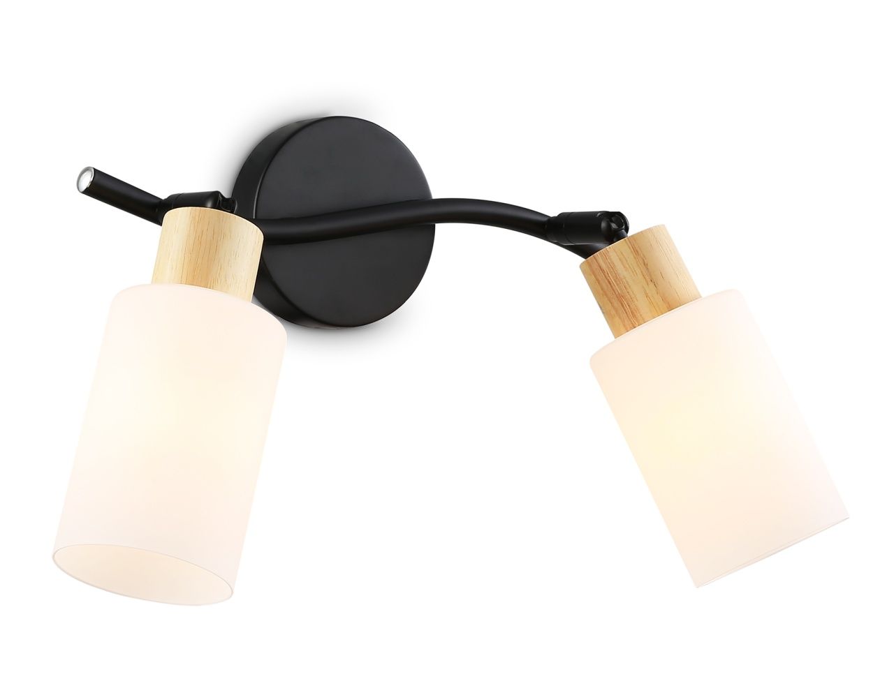 Настенно-потолочный спот в стиле лофт Ambrella Light TR8721