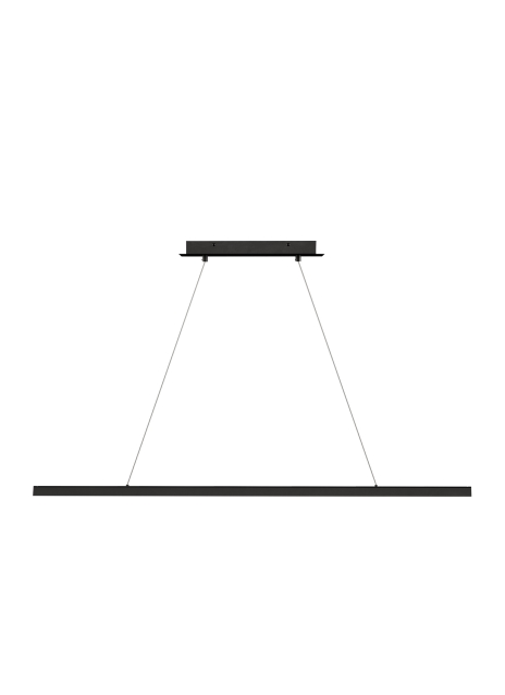 Потолочный светильник Dessau 702LSDES48B-LED930 Tech Lighting