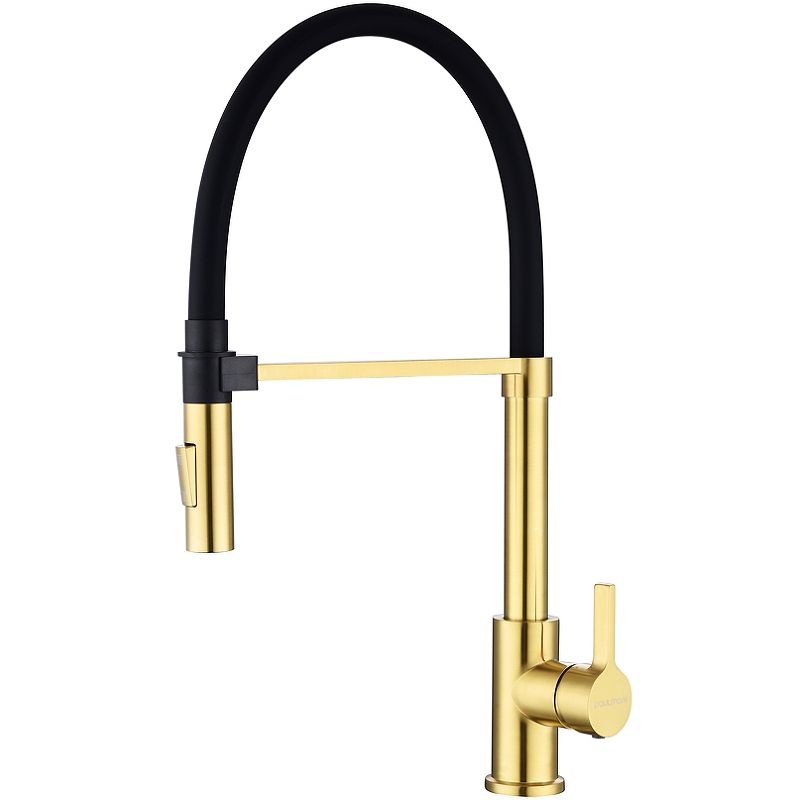 Смеситель для кухни Halt, брашированное золото, Ha214021-BG, Paulmark