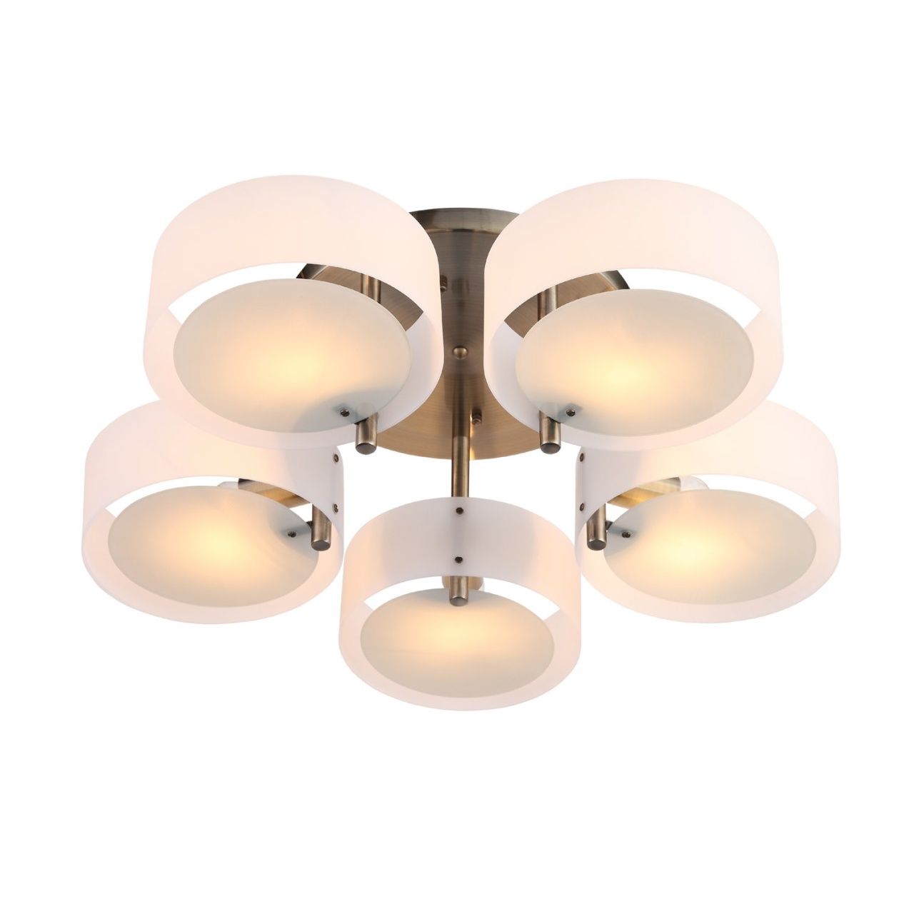 Светильник потолочный EVOLUCE FORESTA SL483.352.05