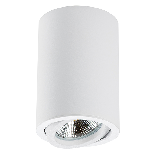 Светильник точечный накладной Rullo Lightstar 214406