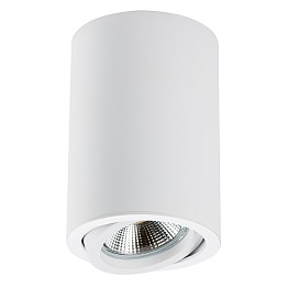 Светильник точечный накладной Rullo Lightstar 214406
