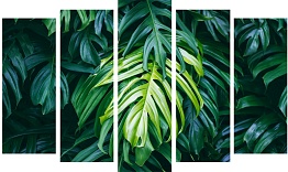 Пятимодуль Toplight TL-PM0039