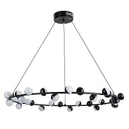 Светильник подвесной Arte Lamp DEXTER A3619SP-30BK